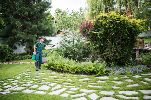 Best Affordable Pest Control Services  in Egan, LA