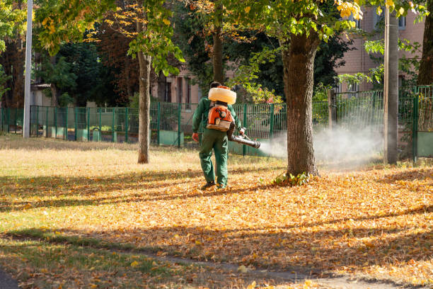 Pest Prevention Services in Egan, LA
