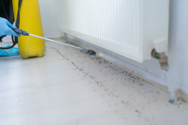 Best Emergency Pest Control  in Egan, LA