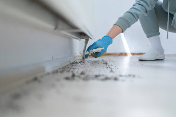 Best Commercial Pest Control Services  in Egan, LA